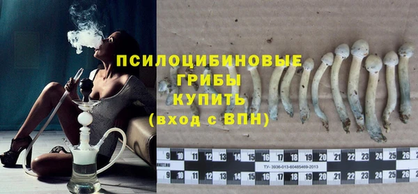 apvp Михайлов